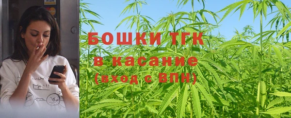 дмт Новозыбков