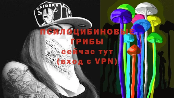 прущая мука Алзамай