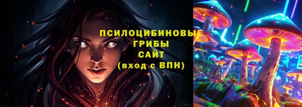 дурь Алексеевка