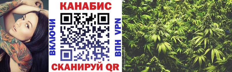 сколько стоит  Малаховка  OMG маркетплейс  Бошки марихуана OG Kush 